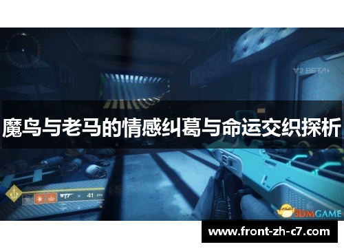 魔鸟与老马的情感纠葛与命运交织探析