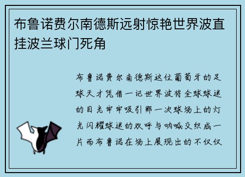 布鲁诺费尔南德斯远射惊艳世界波直挂波兰球门死角 布鲁诺费尔南德斯远射惊艳世界波直挂波兰球门死角