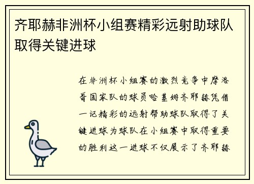 齐耶赫非洲杯小组赛精彩远射助球队取得关键进球